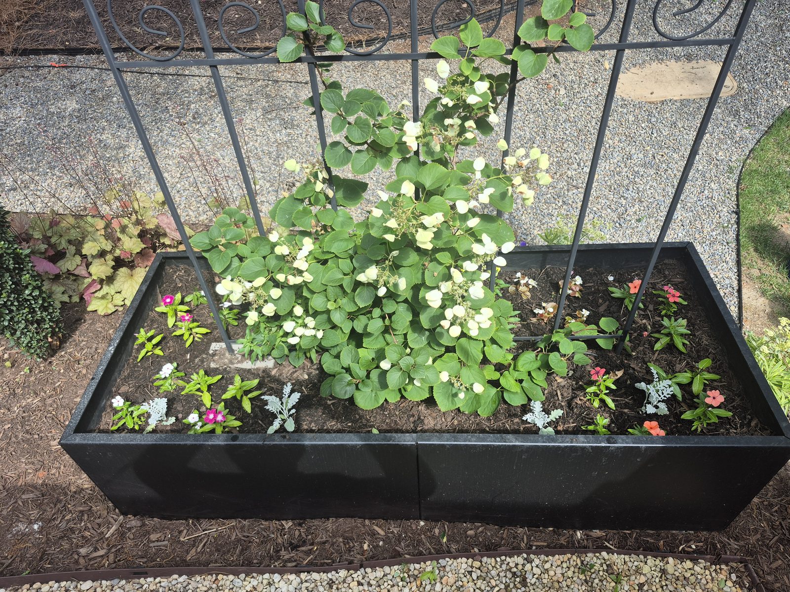 Completed patio shade garden with layered planting beds